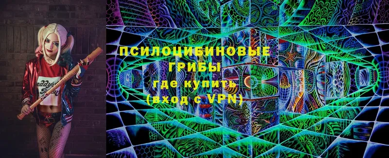 Галлюциногенные грибы Psilocybine cubensis Кизел